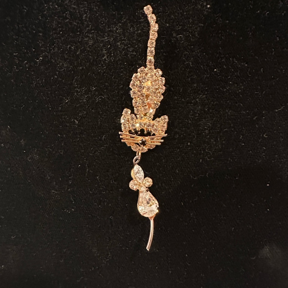 A rhinestone cat brooch and a dangling crystal meant to resemble a mouse.